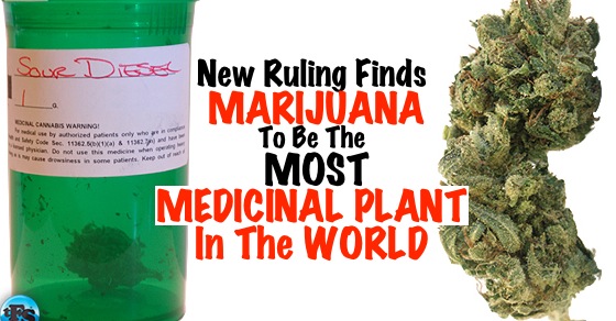 Proof-Marijuana-is-the-Most-Medicinal-Plant-on-the-Planet